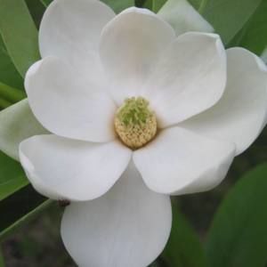 Meet your Posher, Candice